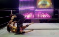 RingDivas Mixed Wrestling Vol 5 Destiny (23)